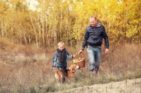 Если вы собрались в лес