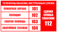 Экстренные номера телефонов должны знать не только взрослые люди, но и дети.