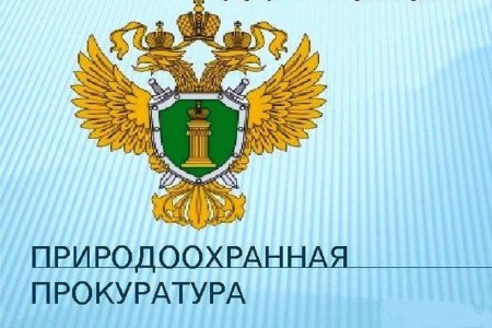 Природоохранная прокуратура информирует