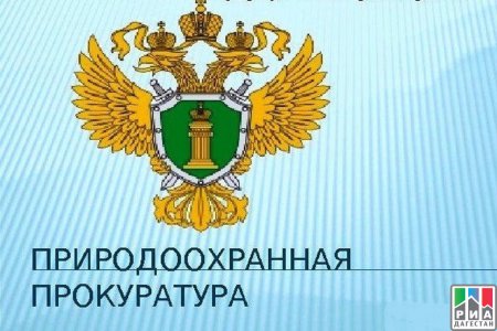 Заблокировал въезд на контейнерную площадку – получай штраф!