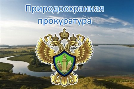 В Санкт-Петербурге взыскано более 2,8 млн. руб. за вред, причиненный окружающей среде в результате незаконного размещения отходов