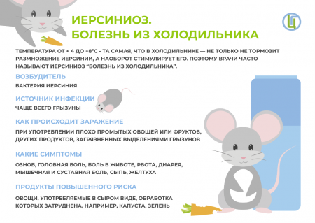 Что такое иерсиниоз и почему лучше не хранить овощи в холодильнике