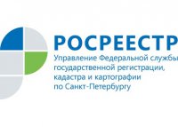 Пять школ поставлено на кадастровый учет  в Петербурге в 2020 году