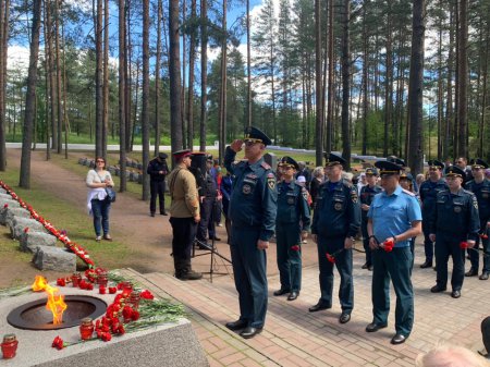 22 июня День памяти и скорби