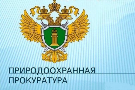 Природоохранной прокуратурой г. Санкт-Петербурга проведена проверка исполнения требований водного законодательства