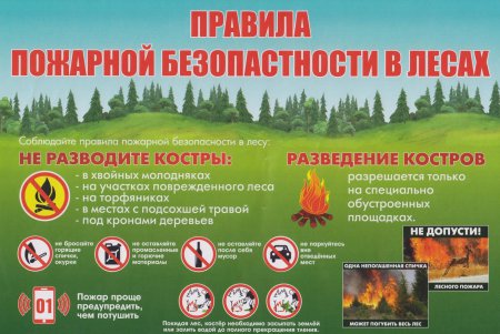 Пожарная безопасность в лесу