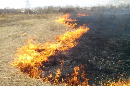 ПАМЯТКА ПО ЗАПРЕТУ ПАЛА СУХОЙ ТРАВЫ