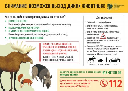 Возможен выход диких животных