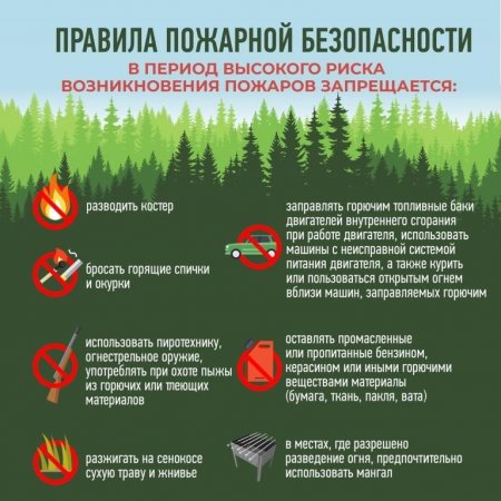 Берегите лес: простые правила пожарной безопасности летом