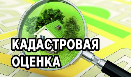 Извещение о размещении проекта отчета о государственной кадастровой оценке, а также о порядке и сроках предоставления замечаний к нему