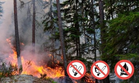 Лес пожароопасный период продолжается