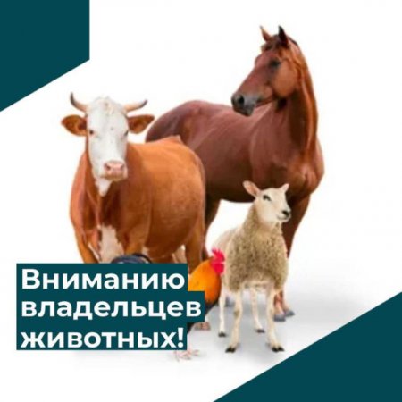 УВАЖАЕМЫЕ ВЛАДЕЛЬЦЫ СЕЛЬСКОХОЗЯЙСТВЕННЫХ ЖИВОТНЫХ!