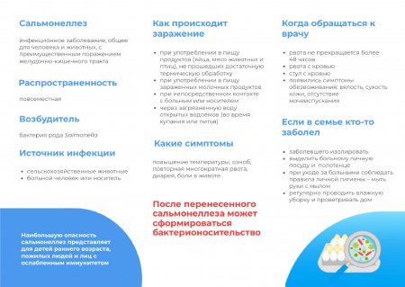 Поговорим о профилактике сальмонеллеза